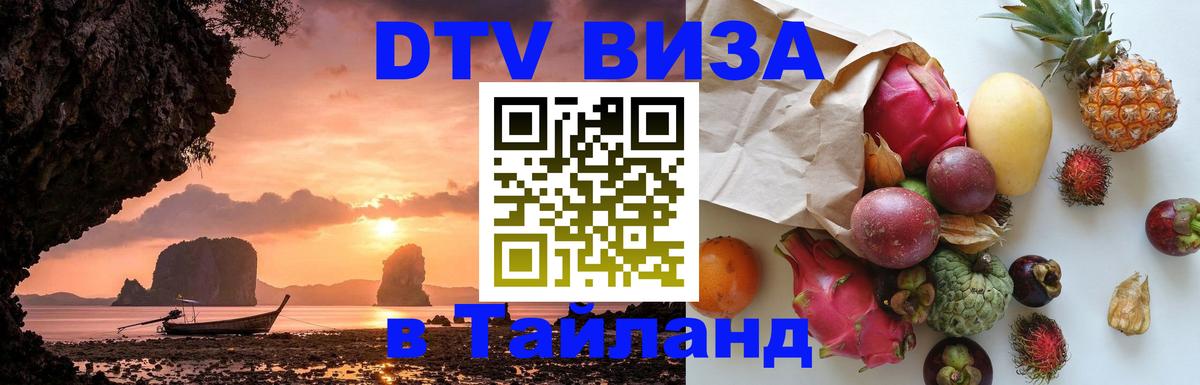 Оформление DTV визы под ключ: стоимость и тарифы, только загранпаспорт - 18.11.2025 